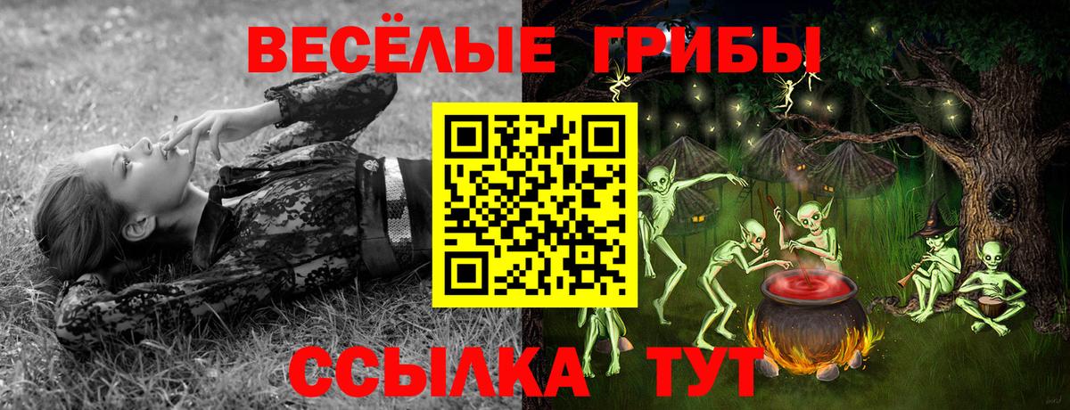 Курск  Псилоцибиновые грибы Psilocybe  Псилоцибиновые грибы Cubensis  Вход с VPN 